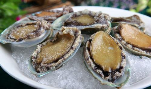 国产五斤大鲍鱼图片视频,尊贵海鲜的奢华呈现